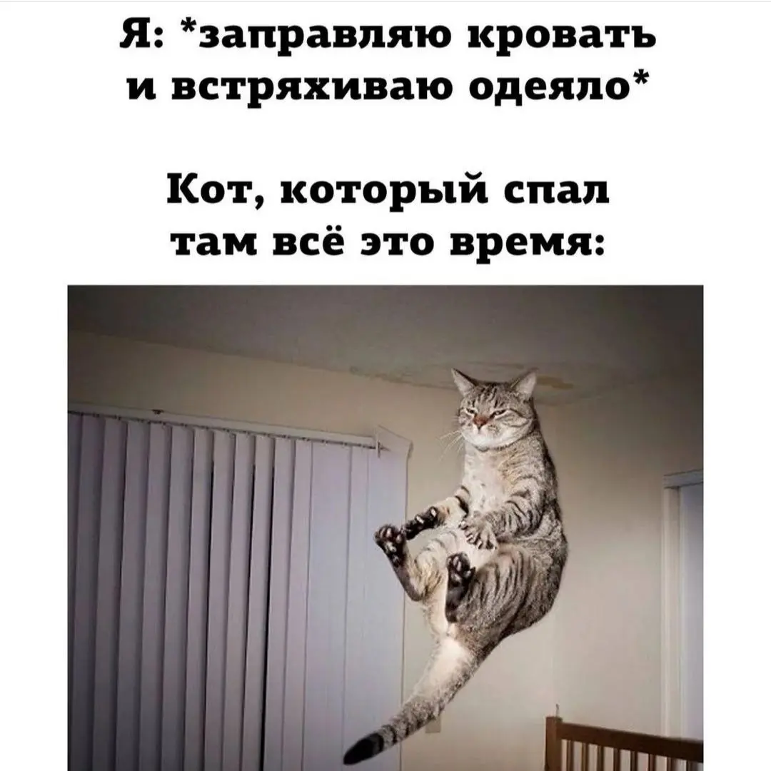 Потревожили покой 😂
БЛОГ В ТГ / БЛОГ В MAX
#Юмор #Коты
В этом посте были ссылки, но мы их удалили по правилам Сетки | Сетка — социальная сеть от hh.ru