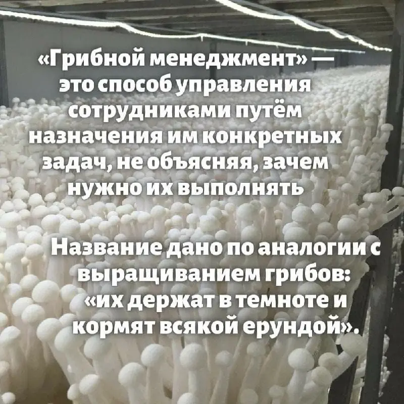 Урок по менеджменту 😂
БЛОГ В ТГ / БЛОГ В MAX
#Юмор
В этом посте были ссылки, но мы их удалили по правилам Сетки | Сетка — социальная сеть от hh.ru