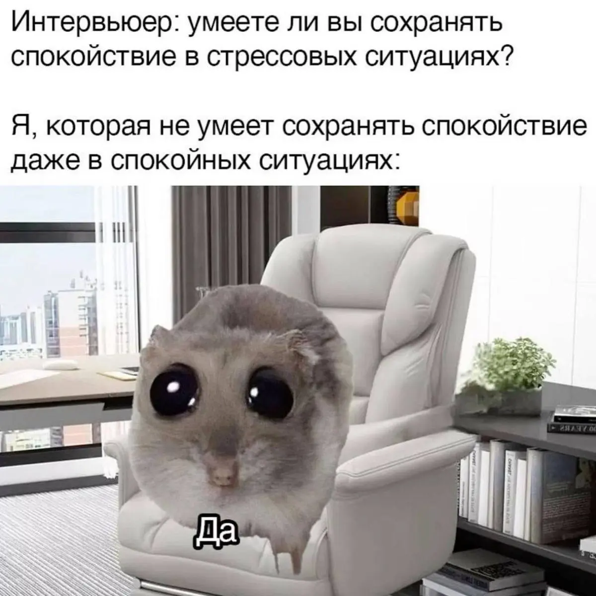 Недоговорили правду🤭 | Сетка — социальная сеть от hh.ru