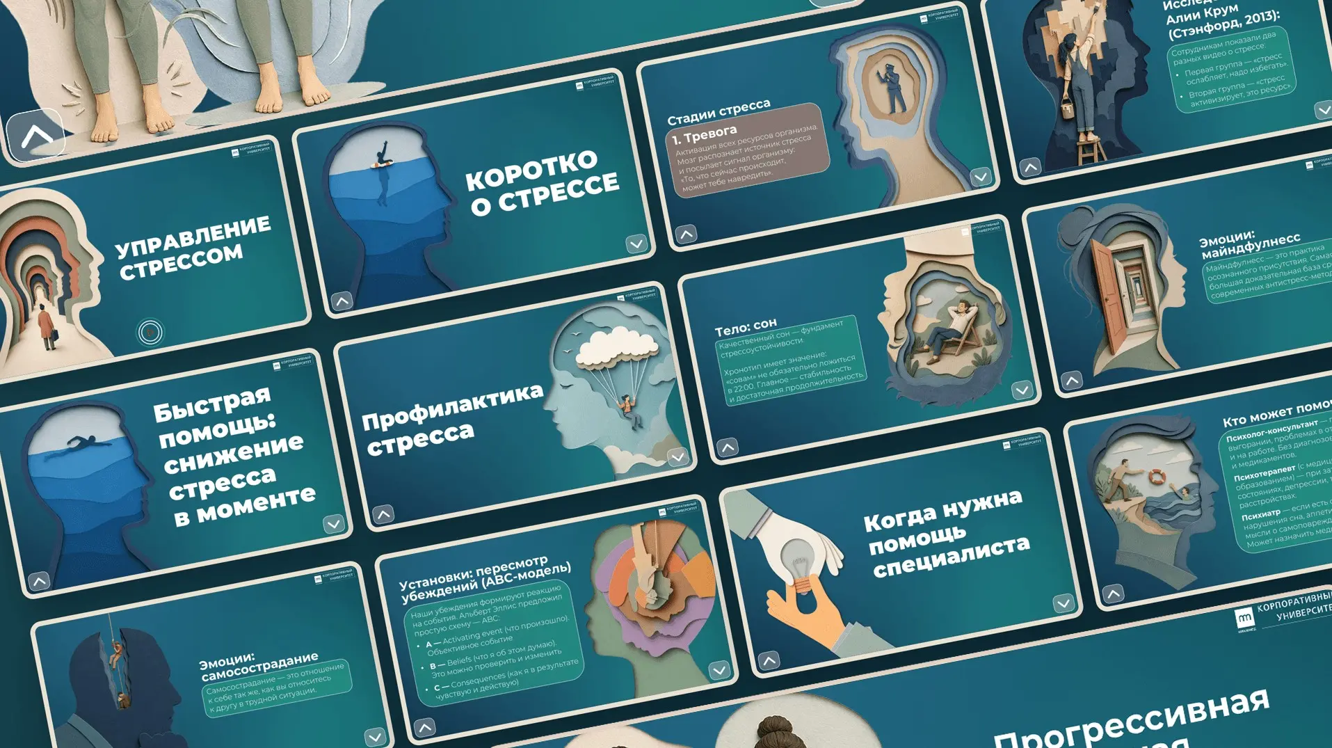Почему SCORM-курс без видео может весить сотни мегабайт | Сетка — социальная сеть от hh.ru