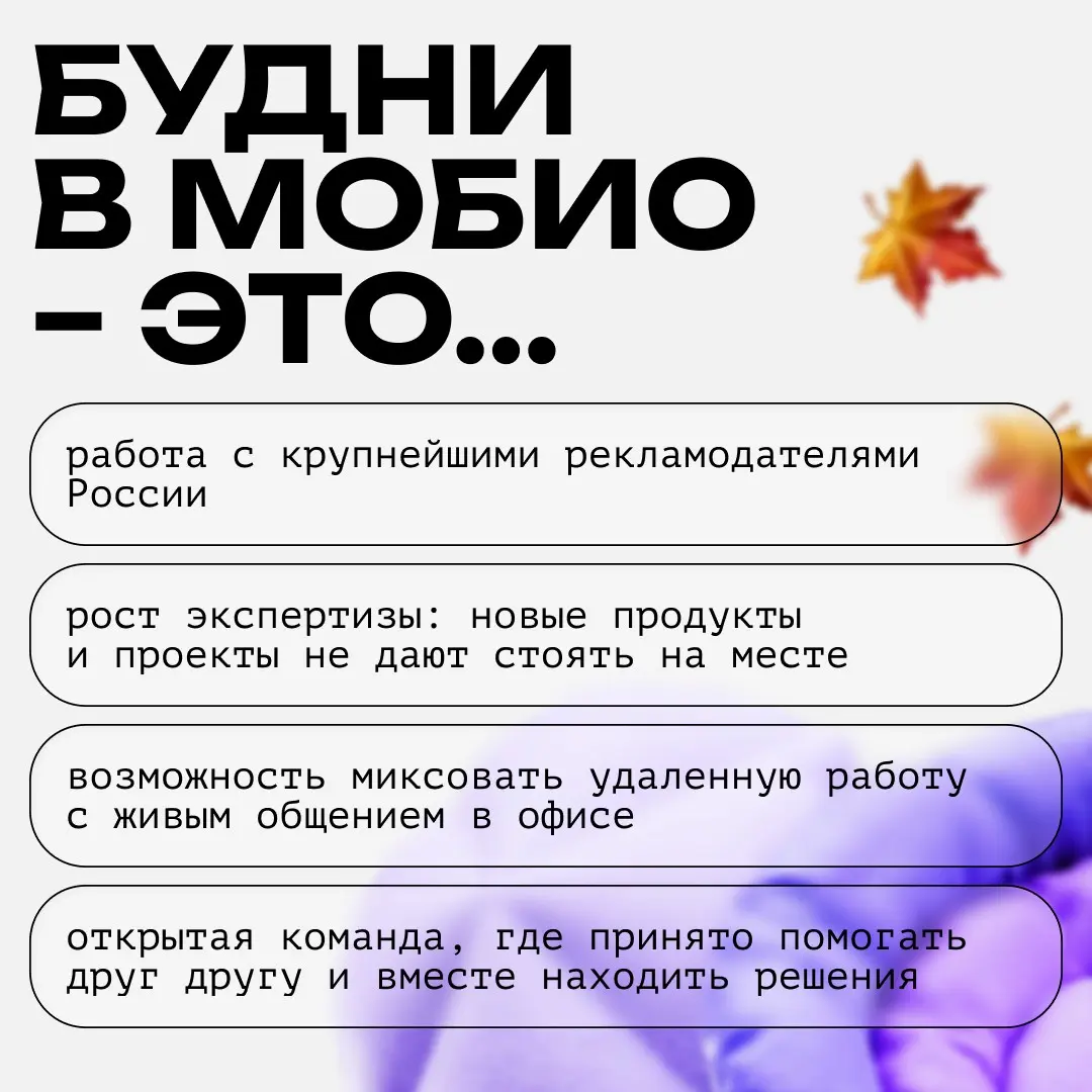 📣 В Мобио есть открытые позиции | Сетка — социальная сеть от hh.ru