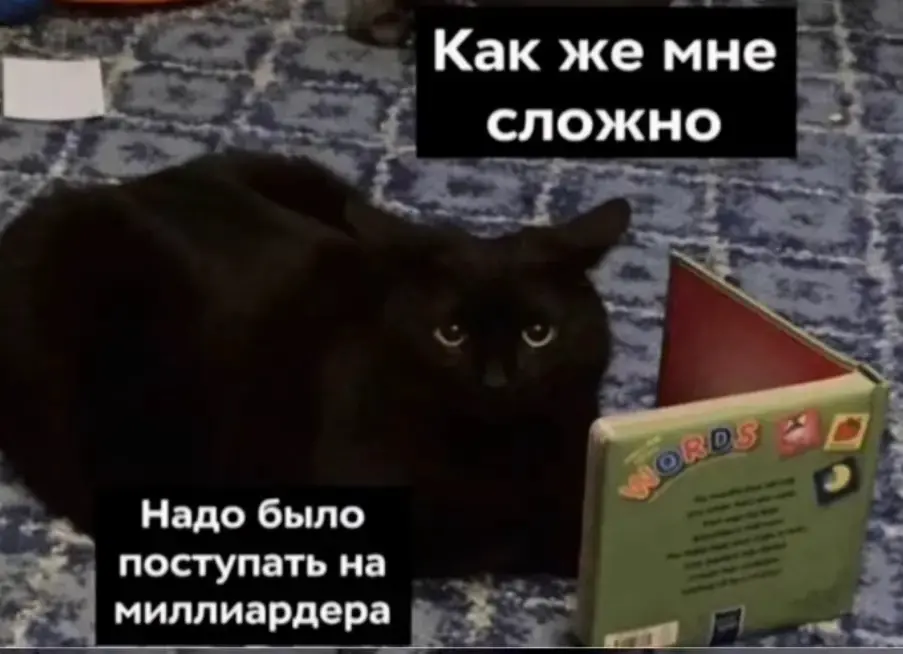 Сегодня я осознанно отказалась от оффлайн-собеседования ☝️ | Сетка — социальная сеть от hh.ru