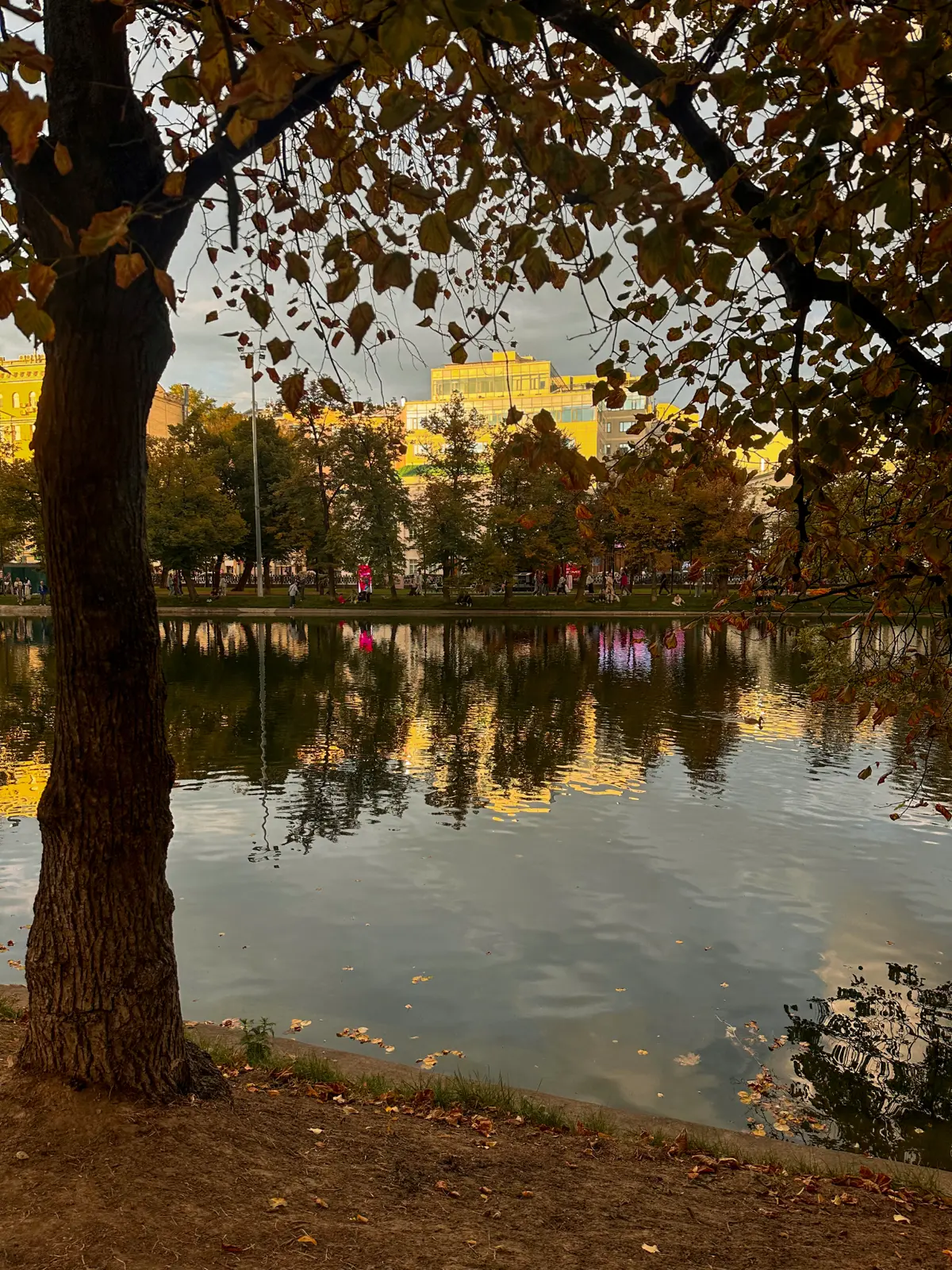 Осень🍂 Сезон найма!
Традиционно осень считается одним из лучших сезонов для поиска работы и найма сотрудников | Сетка — социальная сеть от hh.ru