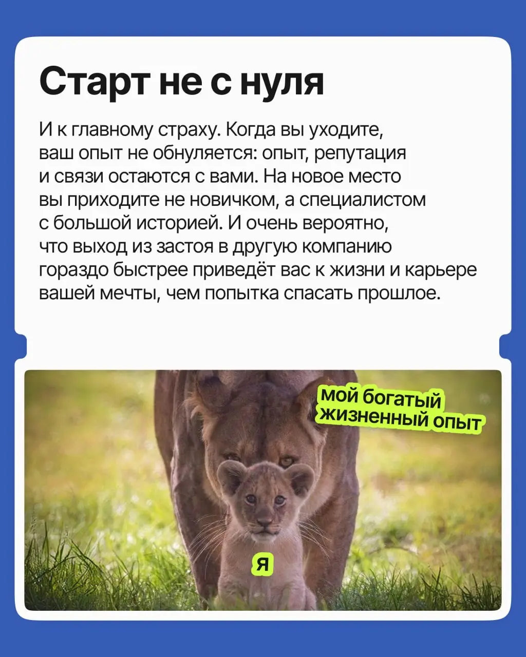 Вы опытный специалист: годы провели на одной работе, и дело своё знаете. Но компания давно не радует, и всё чаще тянет уйти | Сетка — социальная сеть от hh.ru