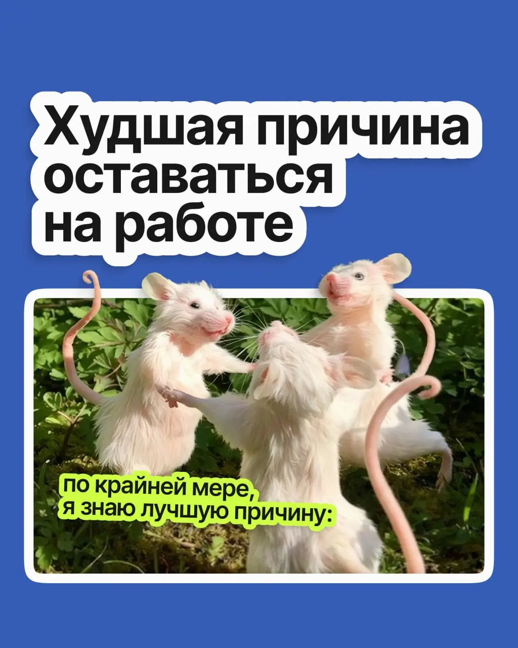 Вы опытный специалист: годы провели на одной работе, и дело своё знаете. Но компания давно не радует, и всё чаще тянет уйти | Сетка — социальная сеть от hh.ru