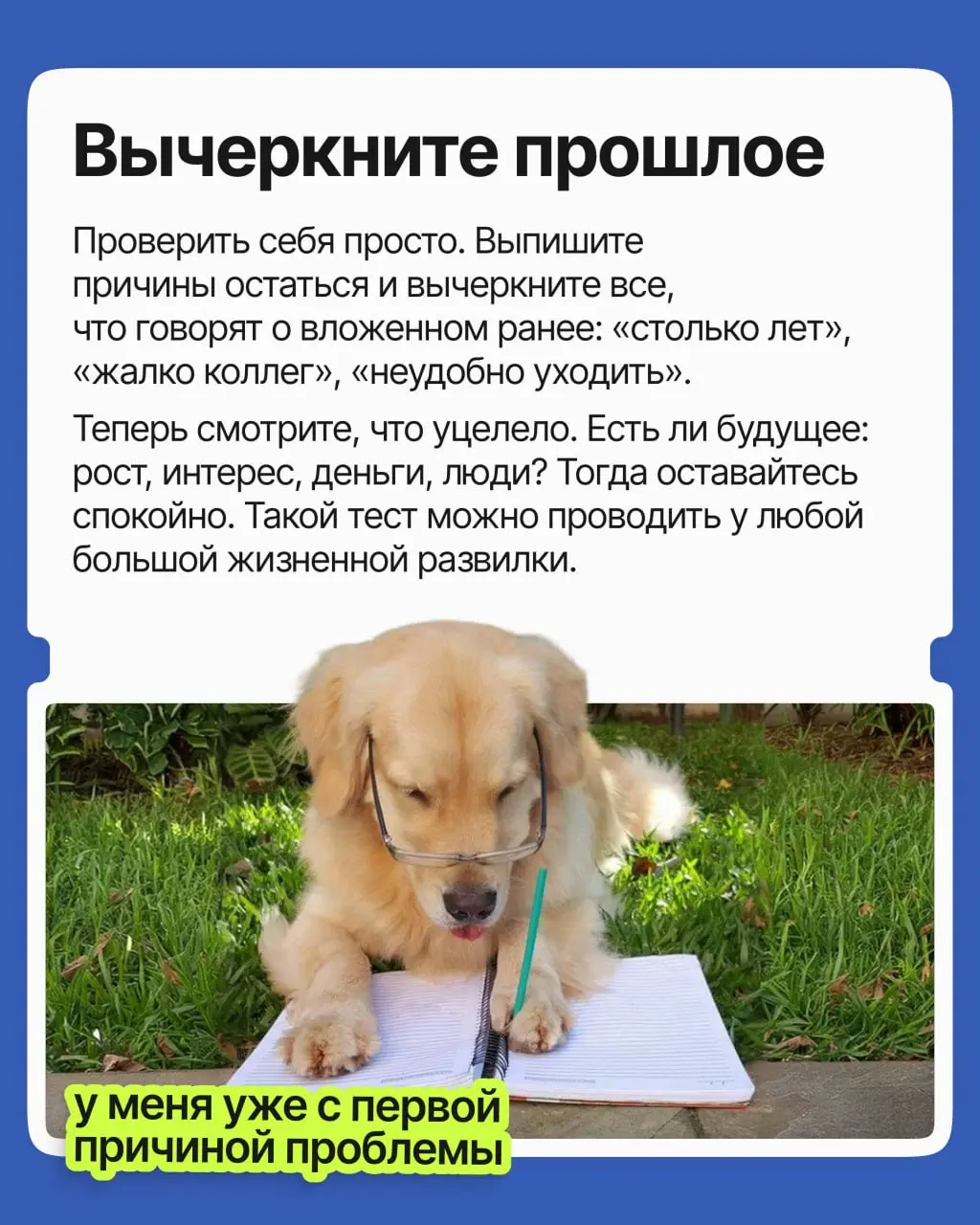 Вы опытный специалист: годы провели на одной работе, и дело своё знаете. Но компания давно не радует, и всё чаще тянет уйти | Сетка — социальная сеть от hh.ru