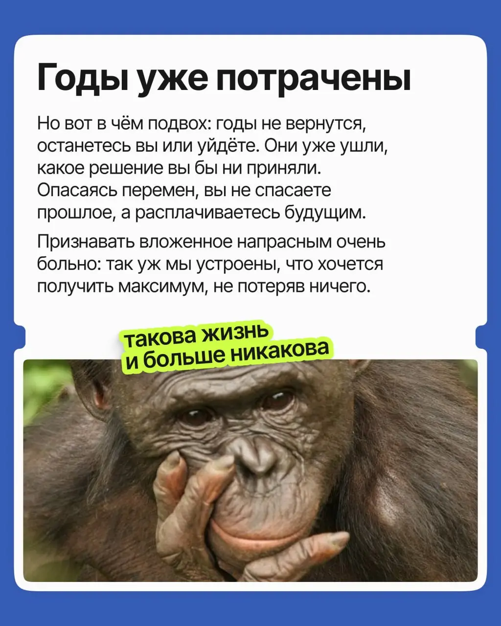 Вы опытный специалист: годы провели на одной работе, и дело своё знаете. Но компания давно не радует, и всё чаще тянет уйти | Сетка — социальная сеть от hh.ru