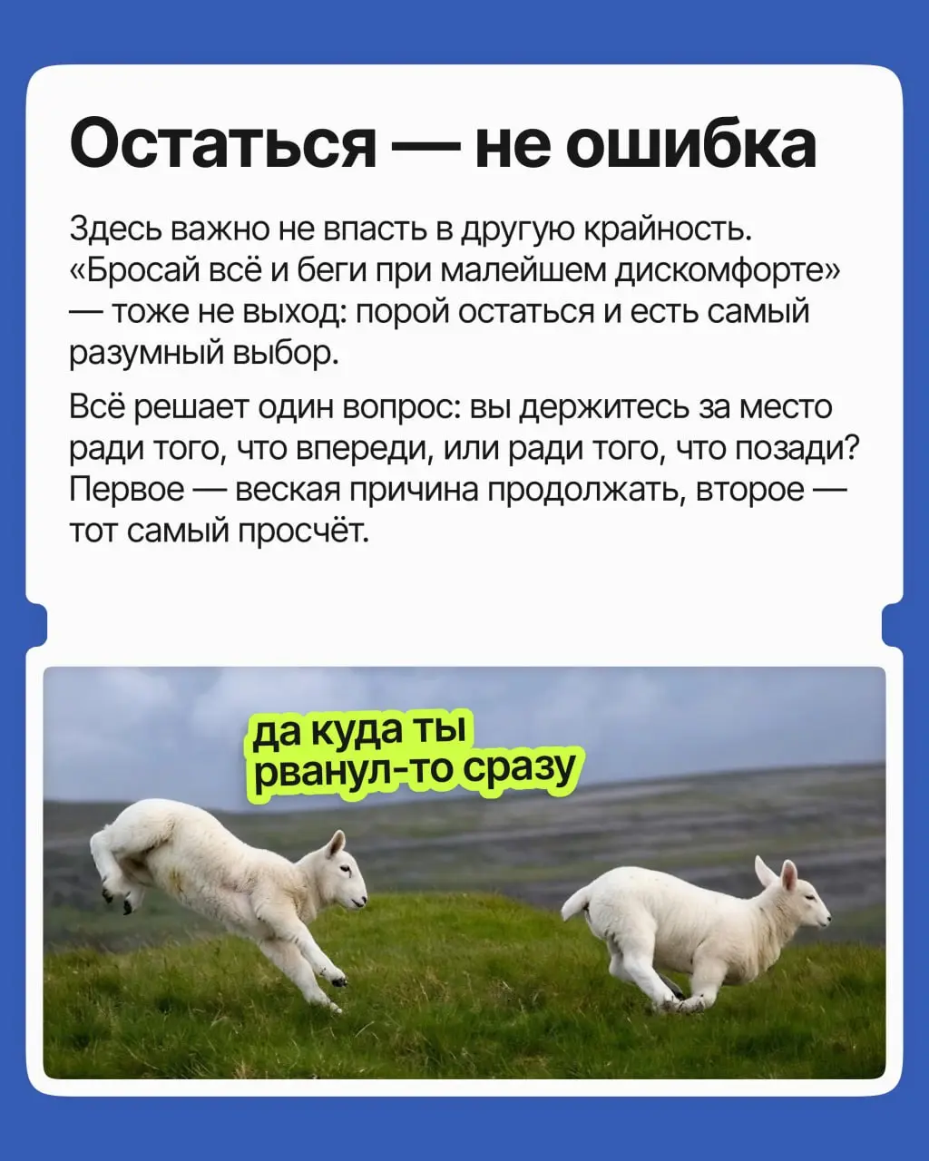 Вы опытный специалист: годы провели на одной работе, и дело своё знаете. Но компания давно не радует, и всё чаще тянет уйти | Сетка — социальная сеть от hh.ru