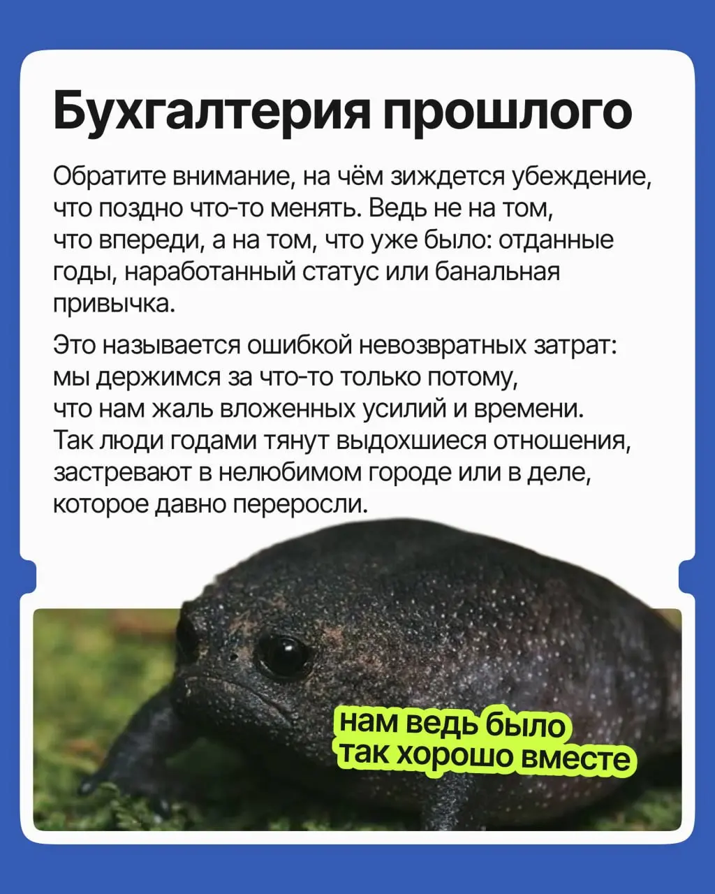 Вы опытный специалист: годы провели на одной работе, и дело своё знаете. Но компания давно не радует, и всё чаще тянет уйти | Сетка — социальная сеть от hh.ru