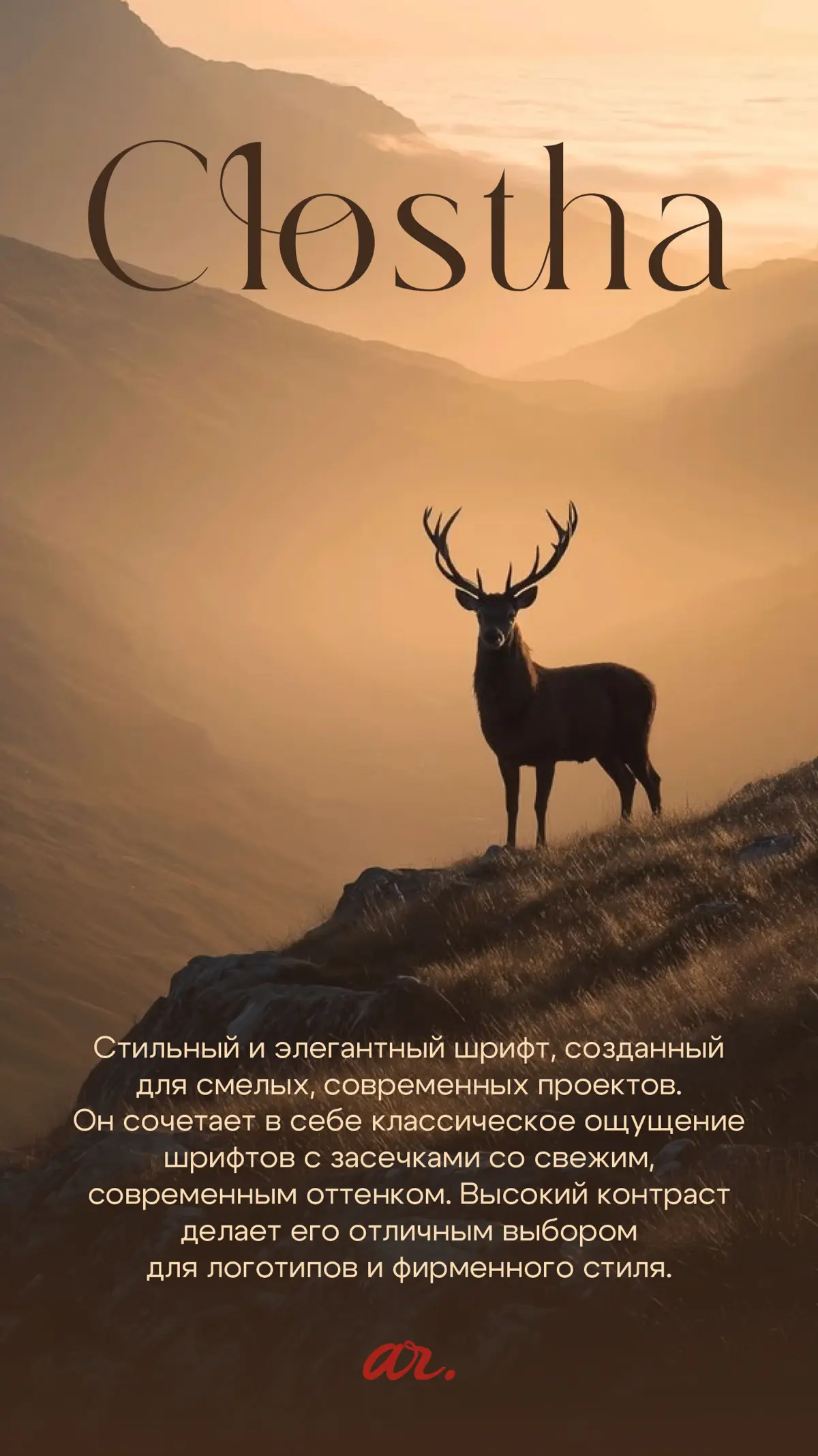 ШРИФТЫ С ХАРАКТЕРОМ | Сетка — социальная сеть от hh.ru