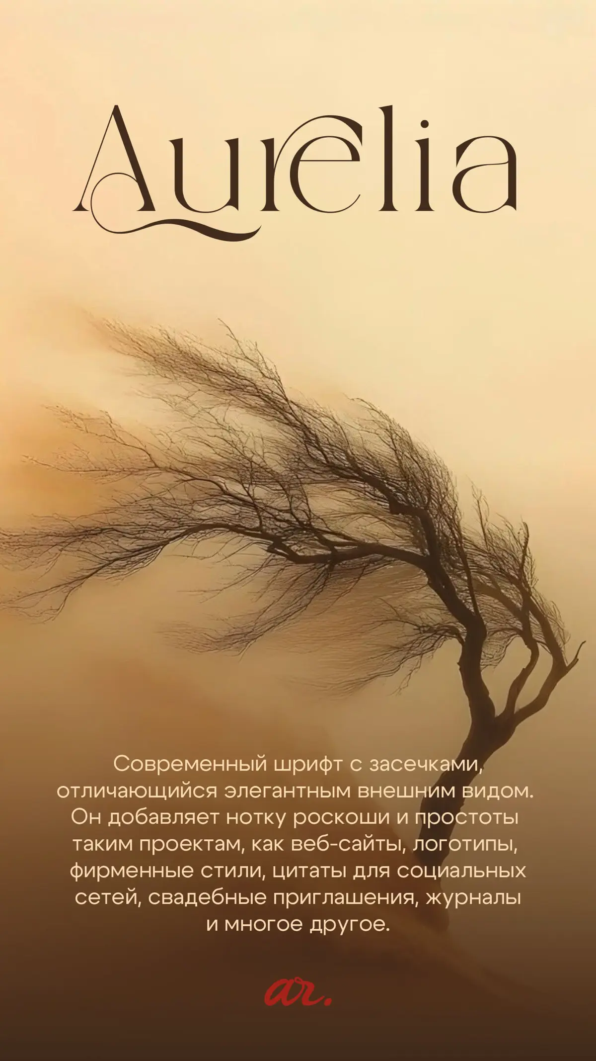 ШРИФТЫ С ХАРАКТЕРОМ | Сетка — социальная сеть от hh.ru
