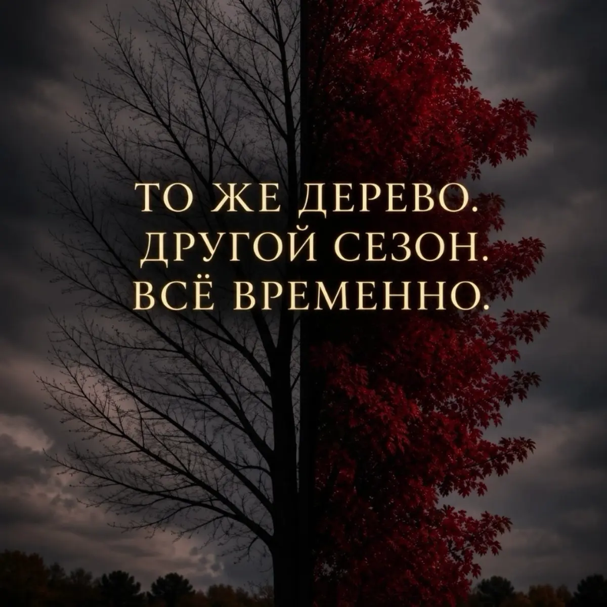 🚂🔋 | Сетка — социальная сеть от hh.ru