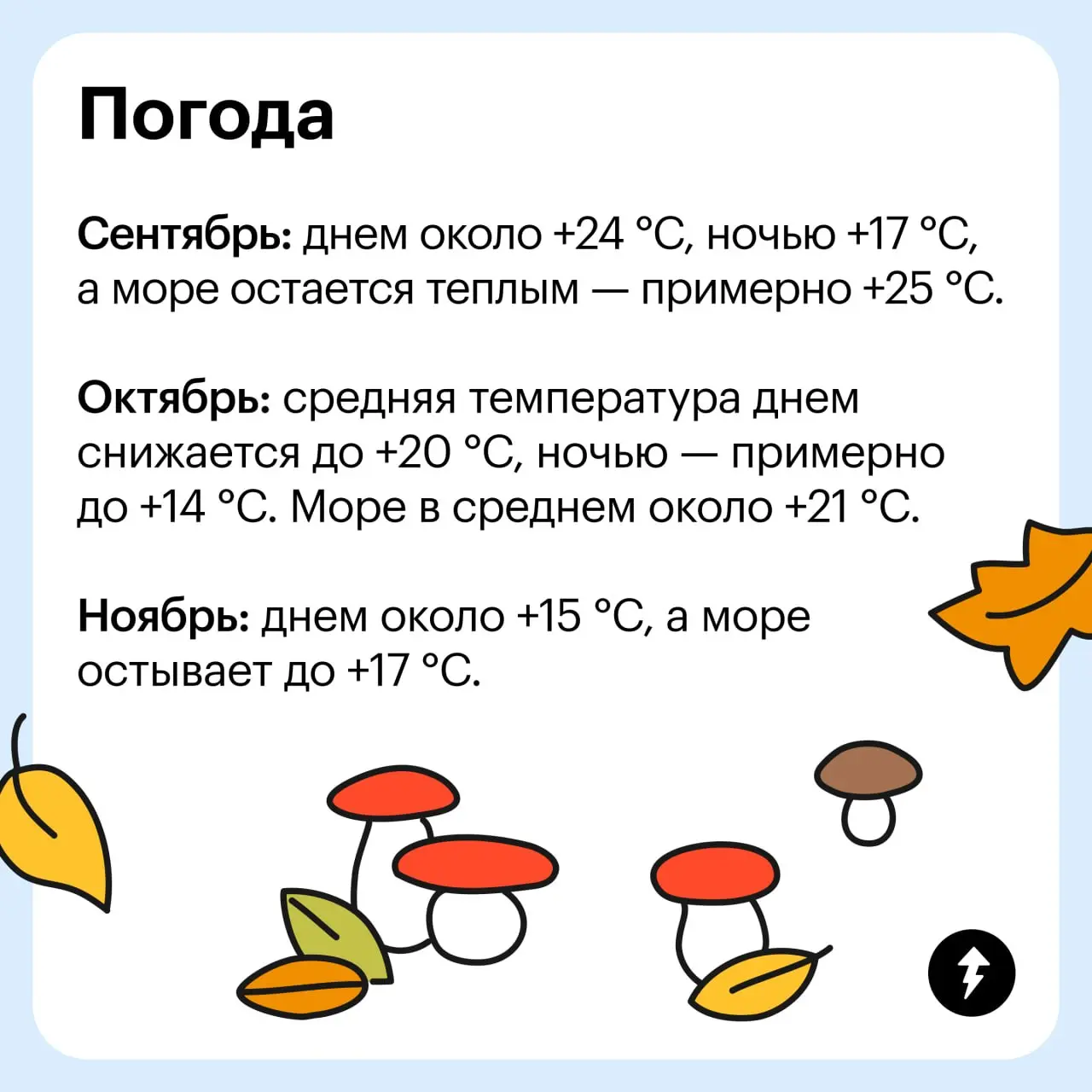 🏖 Как захотелось надеть панамку, заскочить за чурчхелой и отправиться на вечерний променад вдоль моря.
⚡️ Путешествуем по России в любой сезон
#путешествия | Сетка — социальная сеть от hh.ru