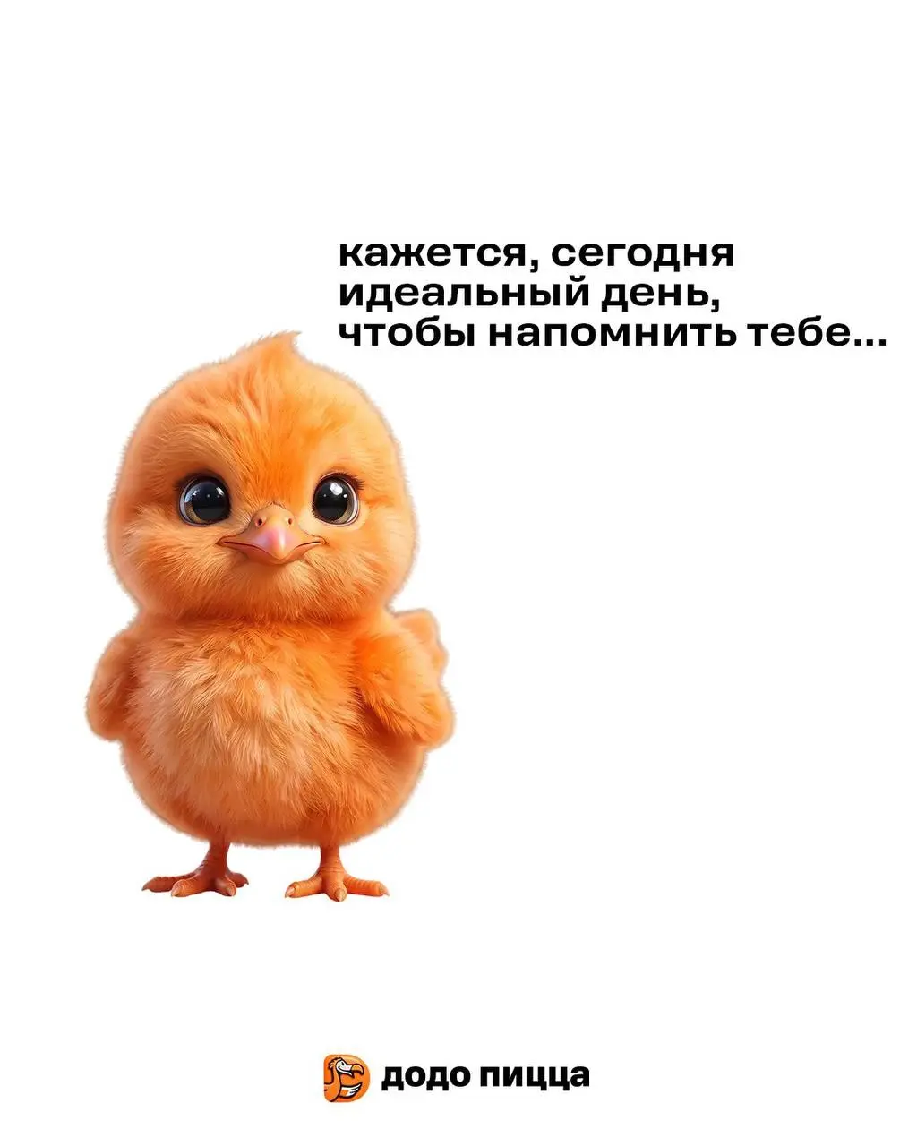 Сммщик белорусской Додо Пиццы напомнил о важном. Все справились? 😍 | Сетка — социальная сеть от hh.ru