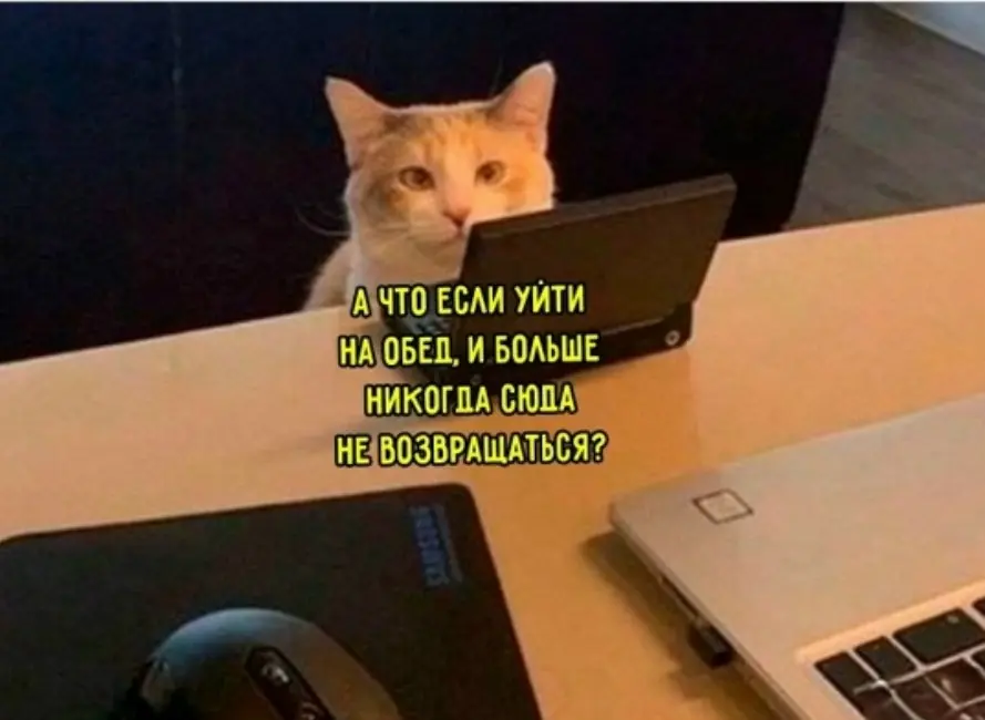 Уход от токсичности | Сетка — социальная сеть от hh.ru