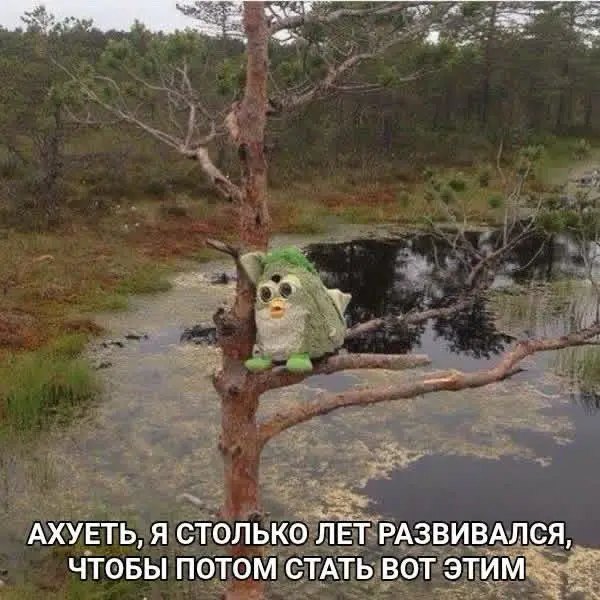 Я сдалась 🎉 | Сетка — социальная сеть от hh.ru