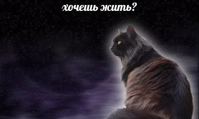 Сетка — социальная сеть от hh.ru