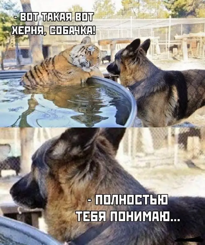 что там по свежим мемам? 👀
Август насыпал кучу контента, который уже через месяц придется объяснять фразой «ну это тогда форсилось».
Мой фаворит сейчас называется «И Владу» | Сетка — социальная сеть от hh.ru