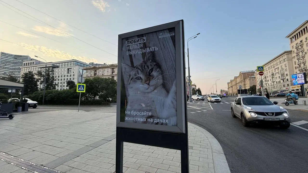 Социальная реклама предлагает расставить запятые: любить нельзя выкидывать
Кампания говорит о распространённой проблеме — животных оставляют на дачах после окончания сезона | Сетка — социальная сеть от hh.ru