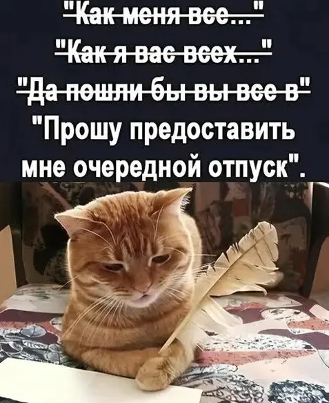 ОТПУСКНОЙ МЕМАСИК 😎 | Сетка — социальная сеть от hh.ru