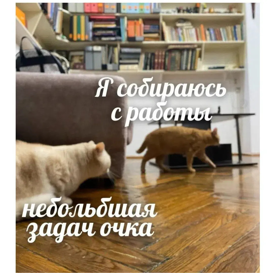 Пятницовое обидновое | Сетка — социальная сеть от hh.ru
