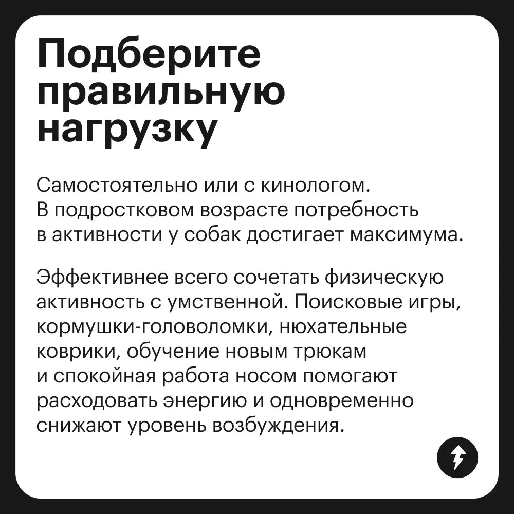 🐕: Громкий хлопок дверью
😲: «Что это с Крекером?»
🌿: «Да это переходный возраст — ему нужно личное пространство»
⚡️ Как построить хорошие отношения с песиками
#собаковедение | Сетка — социальная сеть от hh.ru