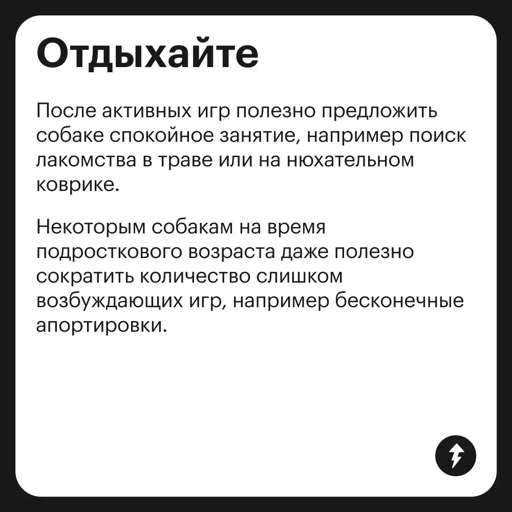 🐕: Громкий хлопок дверью
😲: «Что это с Крекером?»
🌿: «Да это переходный возраст — ему нужно личное пространство»
⚡️ Как построить хорошие отношения с песиками
#собаковедение | Сетка — социальная сеть от hh.ru