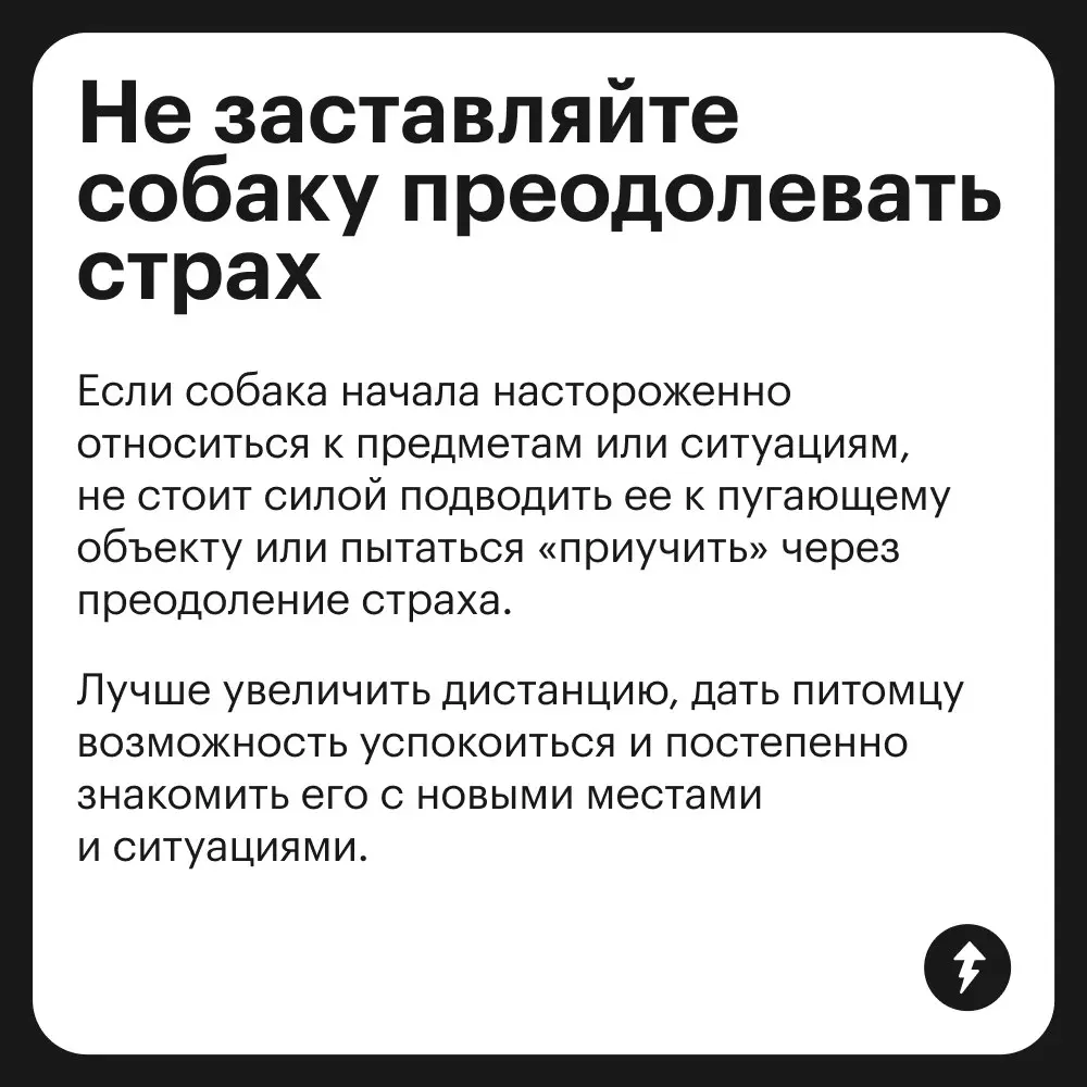 🐕: Громкий хлопок дверью
😲: «Что это с Крекером?»
🌿: «Да это переходный возраст — ему нужно личное пространство»
⚡️ Как построить хорошие отношения с песиками
#собаковедение | Сетка — социальная сеть от hh.ru