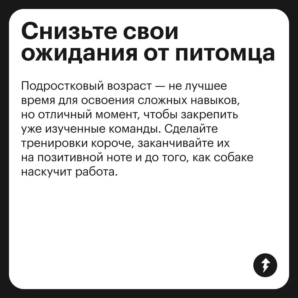 🐕: Громкий хлопок дверью
😲: «Что это с Крекером?»
🌿: «Да это переходный возраст — ему нужно личное пространство»
⚡️ Как построить хорошие отношения с песиками
#собаковедение | Сетка — социальная сеть от hh.ru