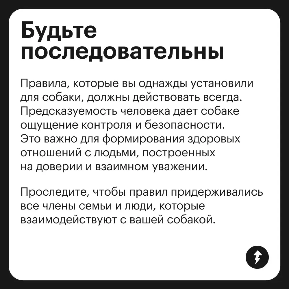 🐕: Громкий хлопок дверью
😲: «Что это с Крекером?»
🌿: «Да это переходный возраст — ему нужно личное пространство»
⚡️ Как построить хорошие отношения с песиками
#собаковедение | Сетка — социальная сеть от hh.ru