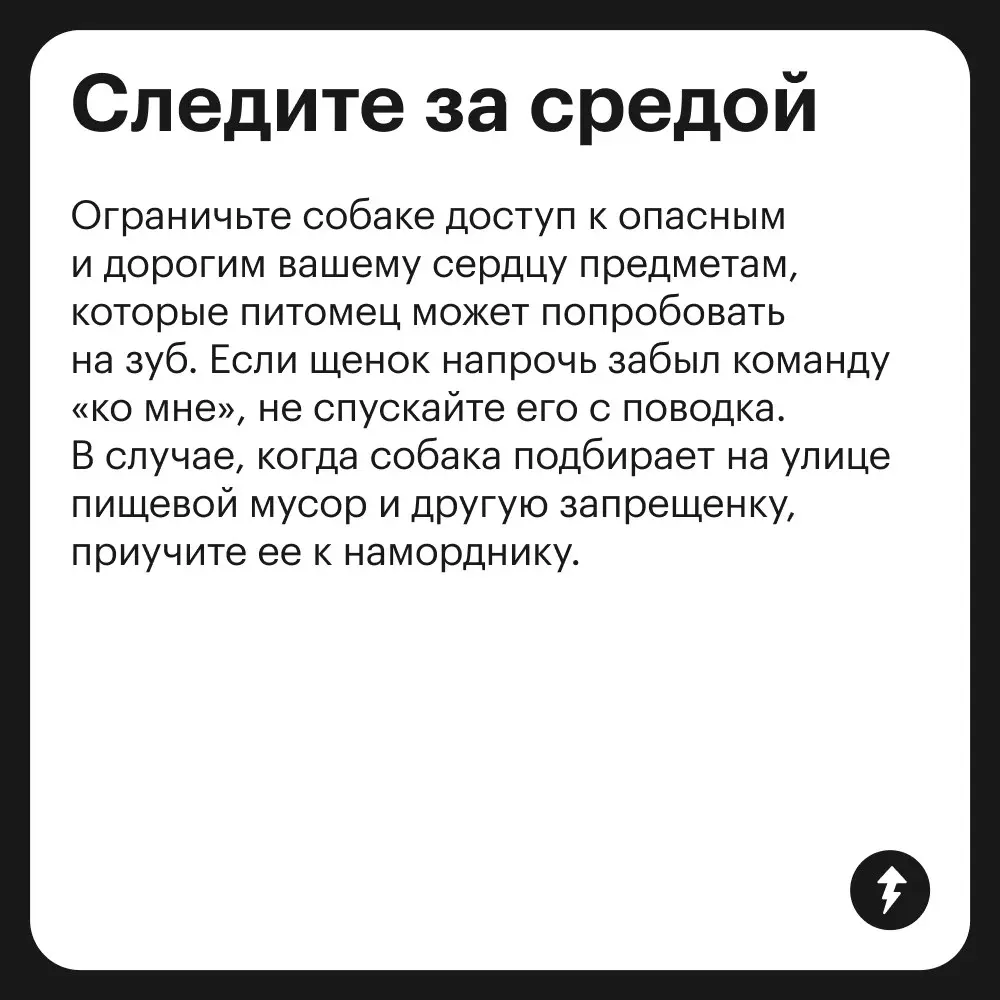 🐕: Громкий хлопок дверью
😲: «Что это с Крекером?»
🌿: «Да это переходный возраст — ему нужно личное пространство»
⚡️ Как построить хорошие отношения с песиками
#собаковедение | Сетка — социальная сеть от hh.ru