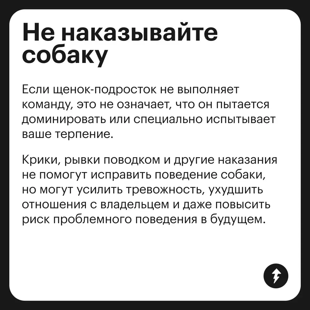 🐕: Громкий хлопок дверью
😲: «Что это с Крекером?»
🌿: «Да это переходный возраст — ему нужно личное пространство»
⚡️ Как построить хорошие отношения с песиками
#собаковедение | Сетка — социальная сеть от hh.ru