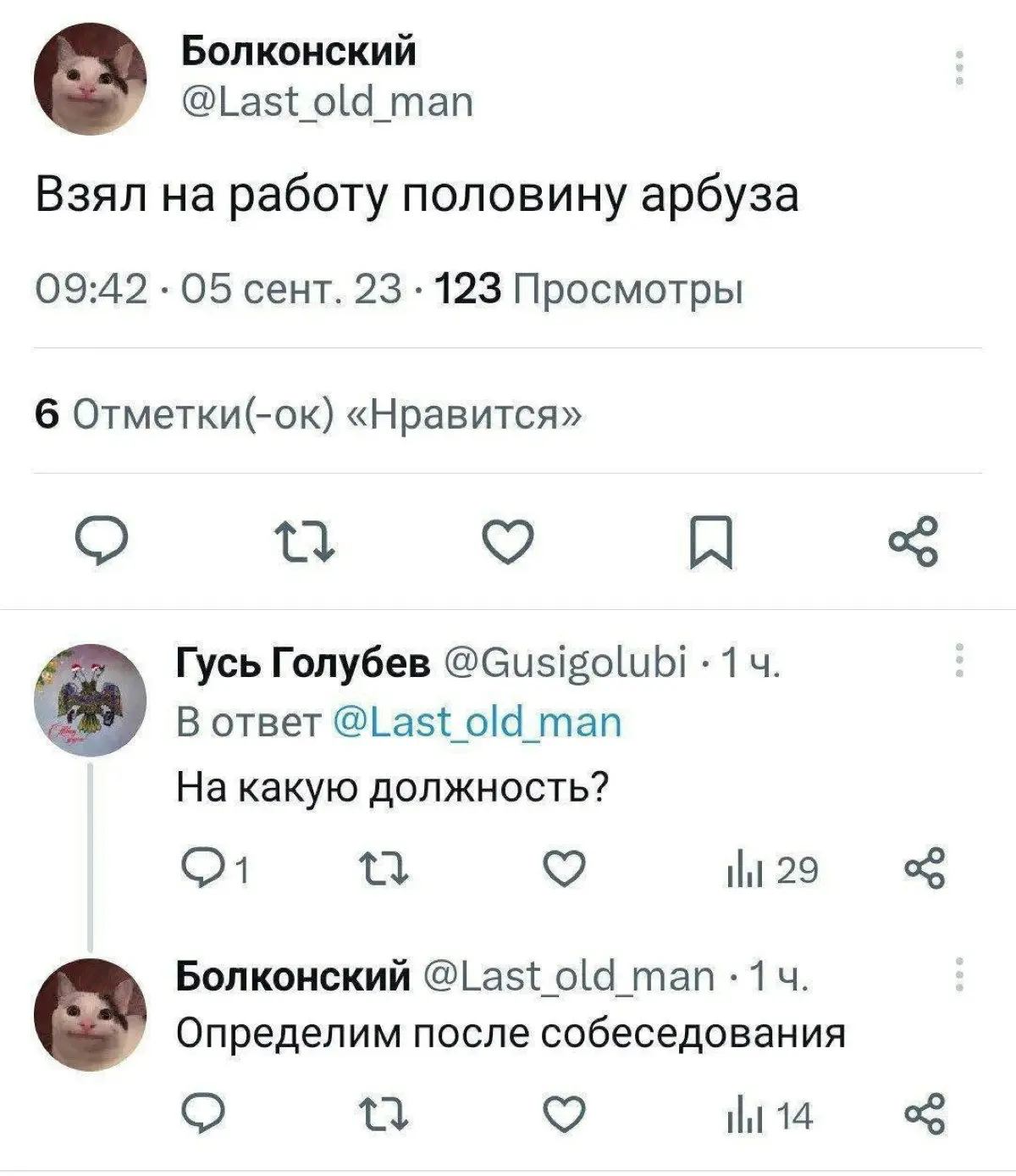 Даже у арбуза идут дела лучше, чем у меня | Сетка — социальная сеть от hh.ru
