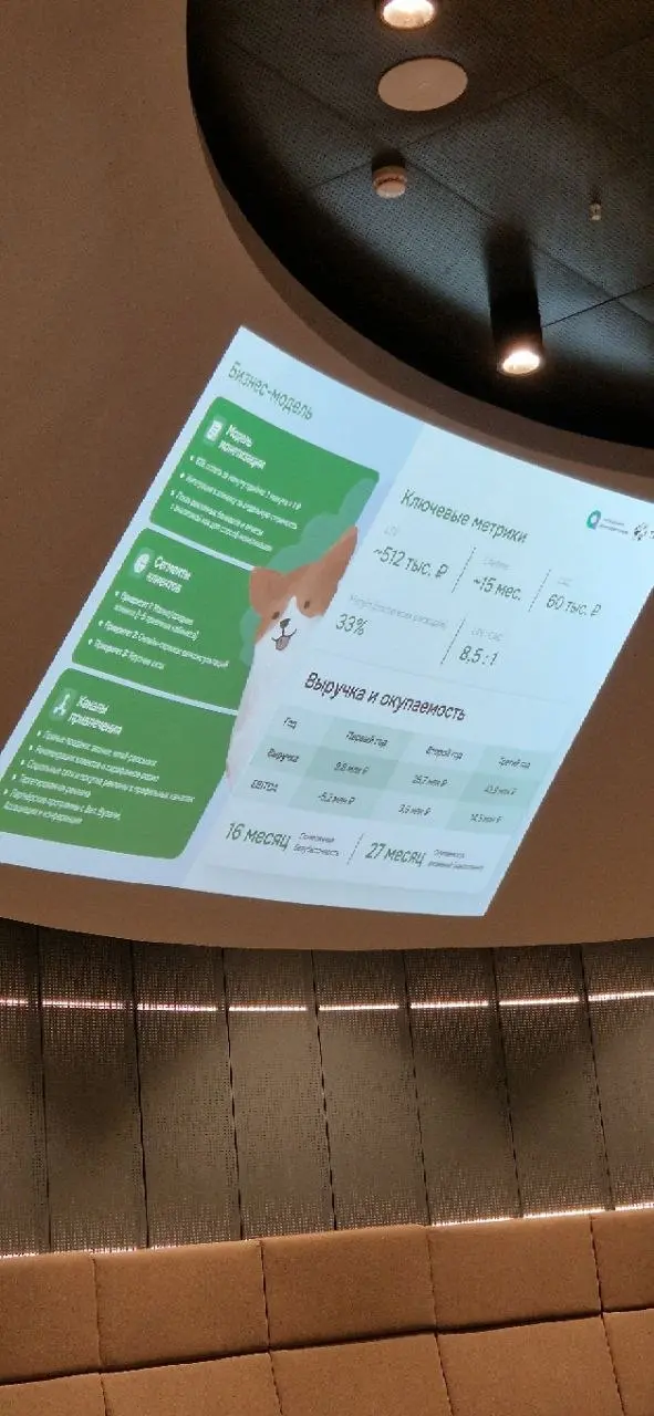 Наверное лучшая визуализация бизнес-модели, которую я видел на питчах! | Сетка — социальная сеть от hh.ru