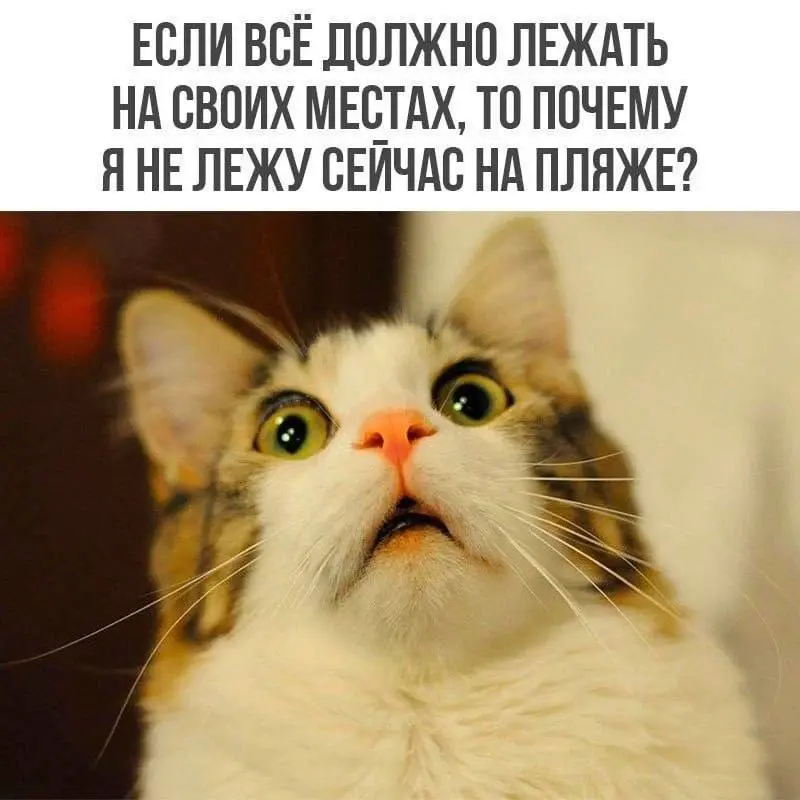 Такой вот риторический вопросец с утра.. А мне сегодня в любом случае места себе не найти. Сын борется на Кубке России. Будем спасаться субботними мемами, нет другого пути и выхода. Поехали.
#мемыhr | Сетка — социальная сеть от hh.ru
