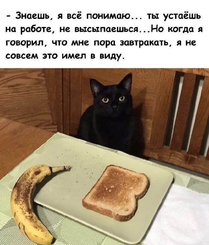 Очень питательный завтрак 😂
БЛОГ В ТГ / БЛОГ В MAX
#Юмор #Коты
В этом посте были ссылки, но мы их удалили по правилам Сетки | Сетка — социальная сеть от hh.ru