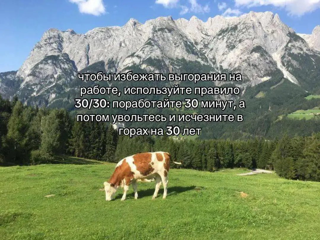 Друзья, всем хороших выходных 😁💚 | Сетка — социальная сеть от hh.ru