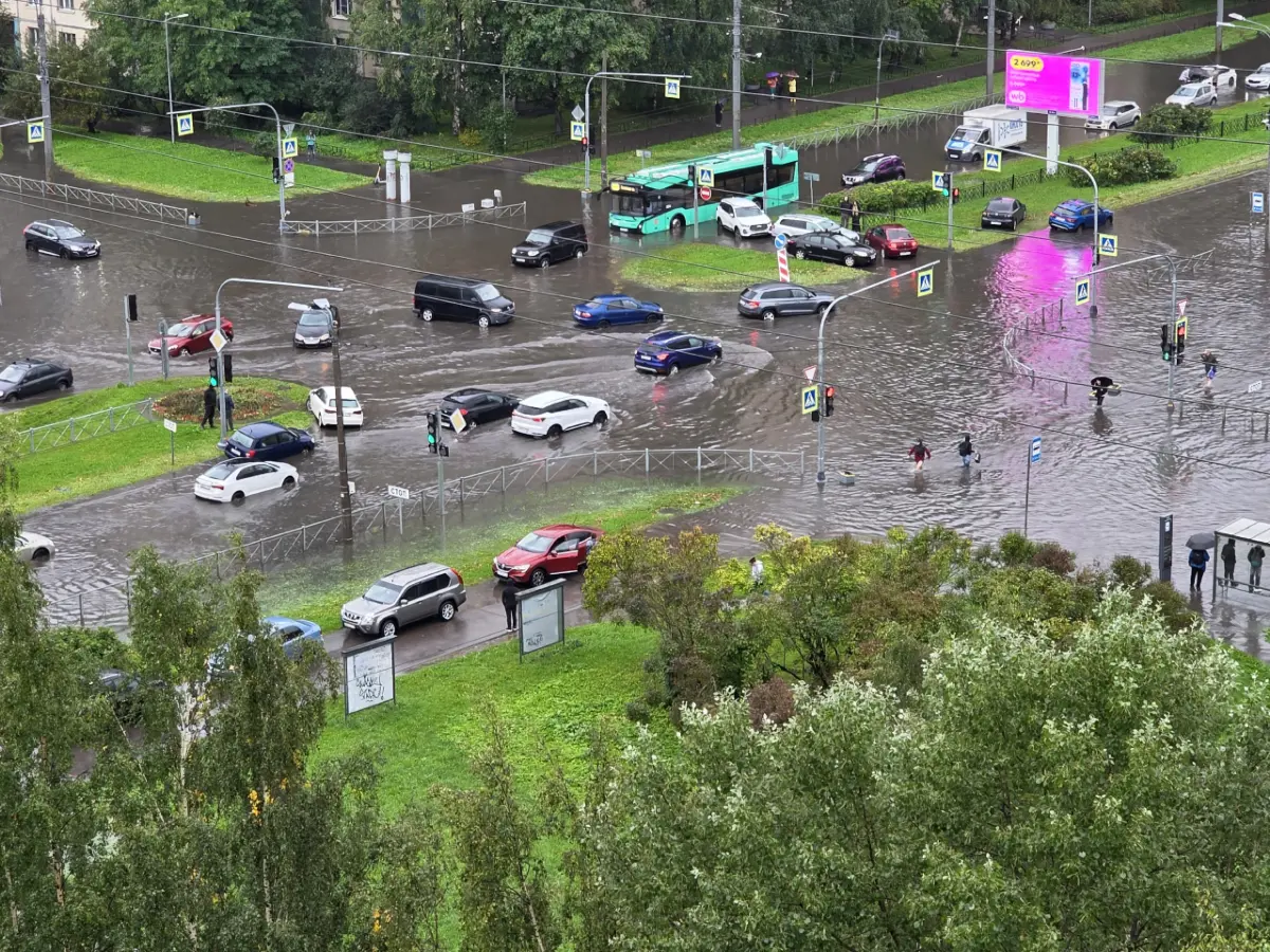 В Петербурге сегодня дожди 🌧️☔ | Сетка — социальная сеть от hh.ru