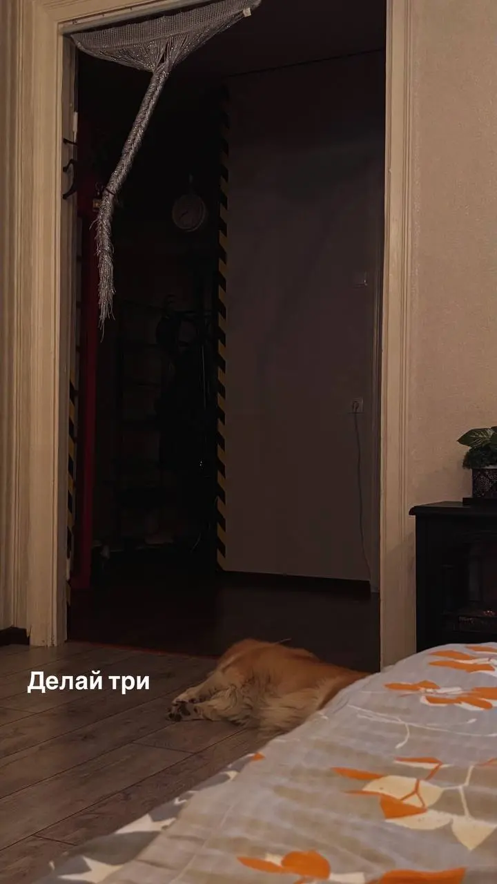 Мы с Оби-Ваном благодарим вас за реакции и просим продолжать их ставить 🤞 | Сетка — социальная сеть от hh.ru