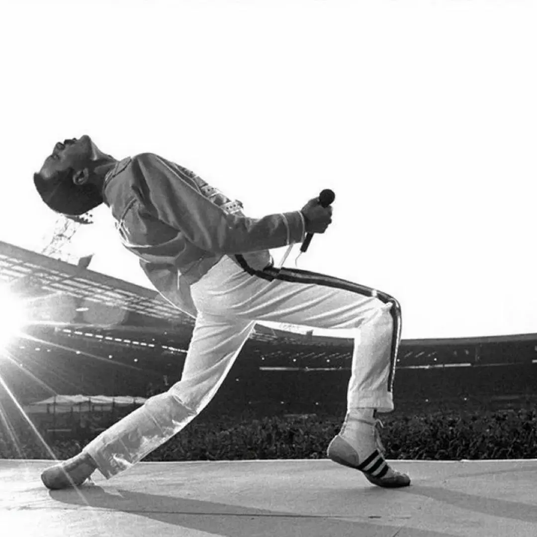 Записки субботнего блогера: The Show Must Go On
5 сентября родился Freddie Mercury
При рождении он был Farrokh Bulsara | Сетка — социальная сеть от hh.ru