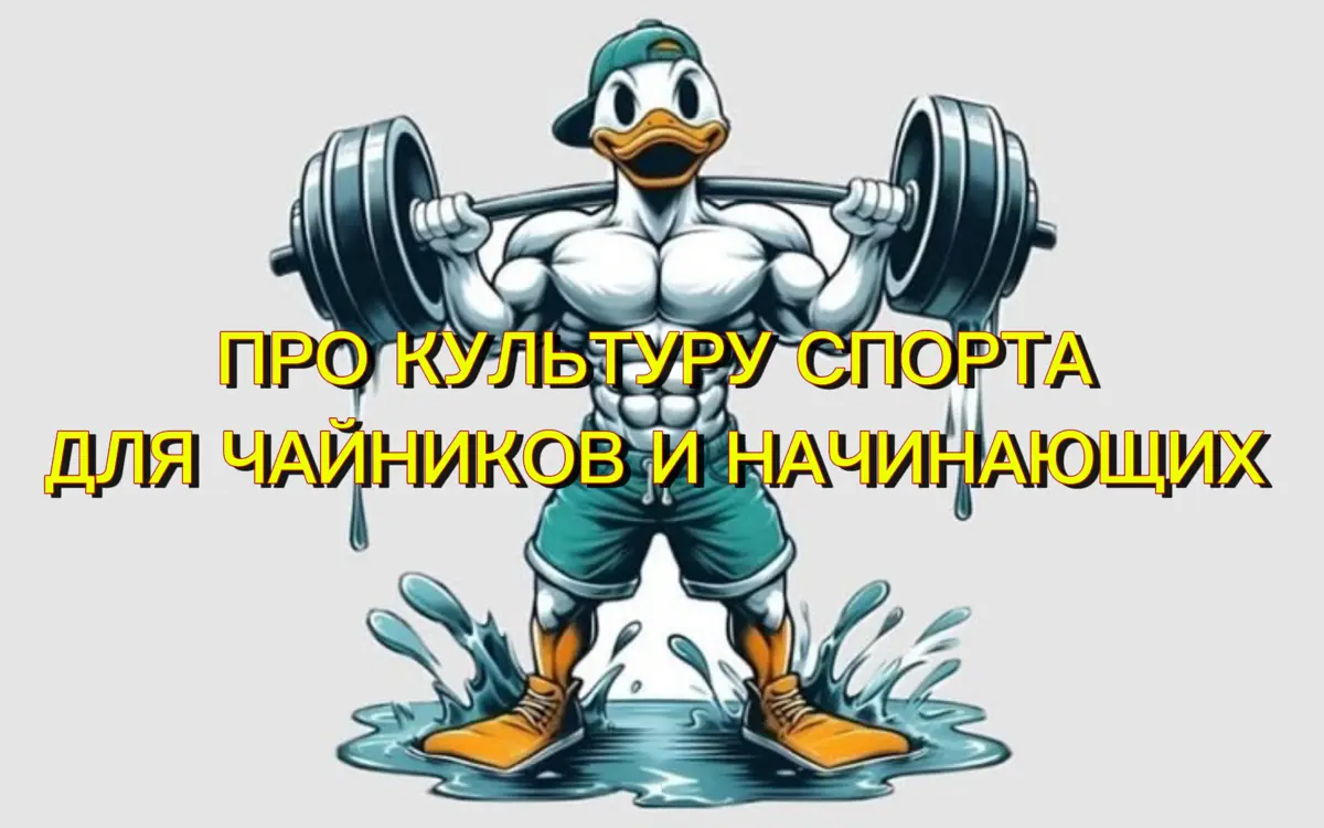 Урок № 4. Знания, как путь к здоровью и спортивной внешности. Также можно оформить подписку на Базу Мракоборца. Там сосредоточены полезные материалы, которые окупаются кратно. Пишите в лс | Сетка — социальная сеть от hh.ru