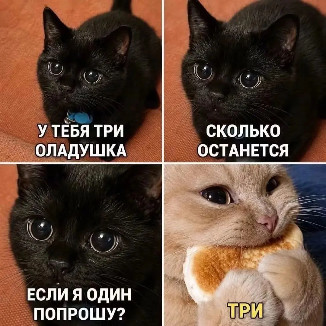 Дай оладушек | Сетка — социальная сеть от hh.ru