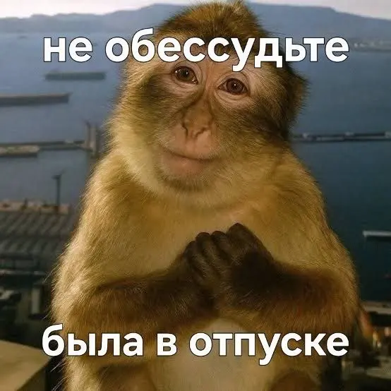 Я снова здесь 🤩
1,5 месяца не писала, много чего успело произойти:⬇️⬇️
🟢я наконец-то получила свои сертификаты о повышении квалификации
(всё пришлю-покажу 😁)
🟢 отработала смену на спортивных сборах, с... | Сетка — социальная сеть от hh.ru