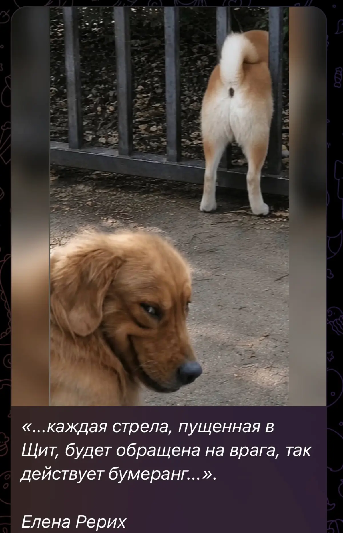 Действует ли бумеранг? | Сетка — социальная сеть от hh.ru