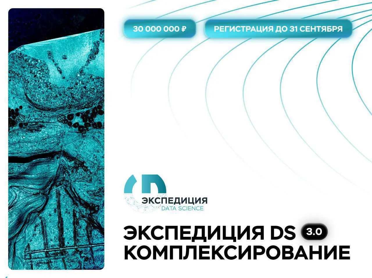 Открыть возможность и найти археологию с помощью искусственного интеллекта 🤖
Любите Data Science, компьютерное зрение и задачи, где результат может привести к настоящему научному открытию? Тогда присо... | Сетка — социальная сеть от hh.ru