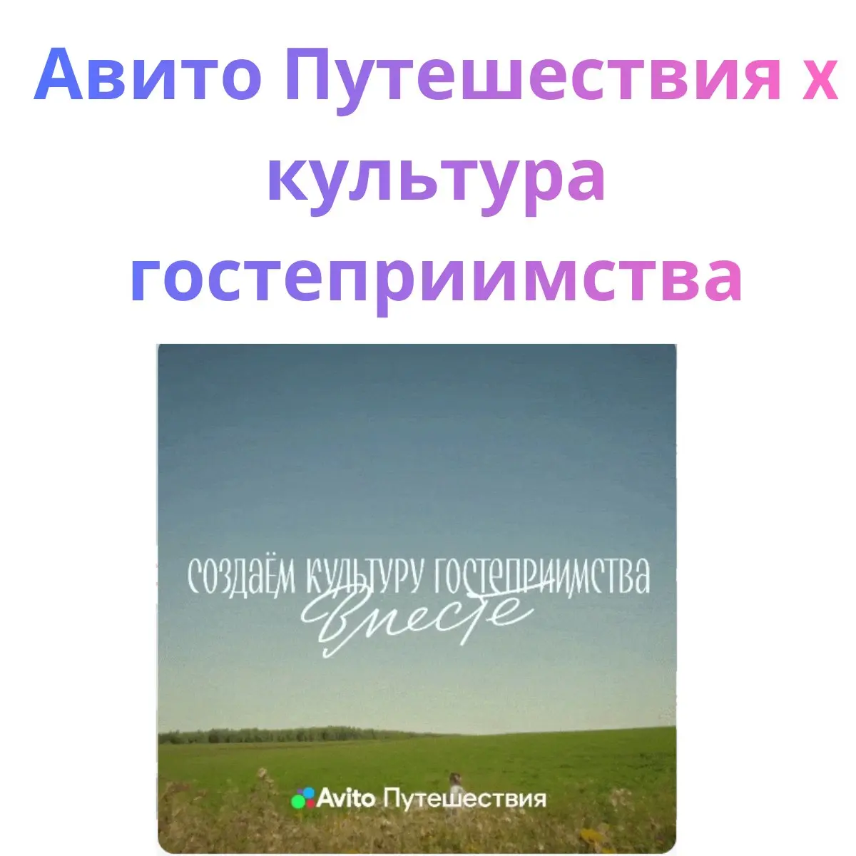 Три нескучных примера B2B-маркетинга: модная клиентка Т-Банка, гордый хост Авито и счастливый бухгалтер Точки
Продолжаю рубрику про коллаборации. На этот раз — про B2B | Сетка — социальная сеть от hh.ru