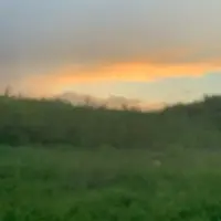 Валерия Андронова