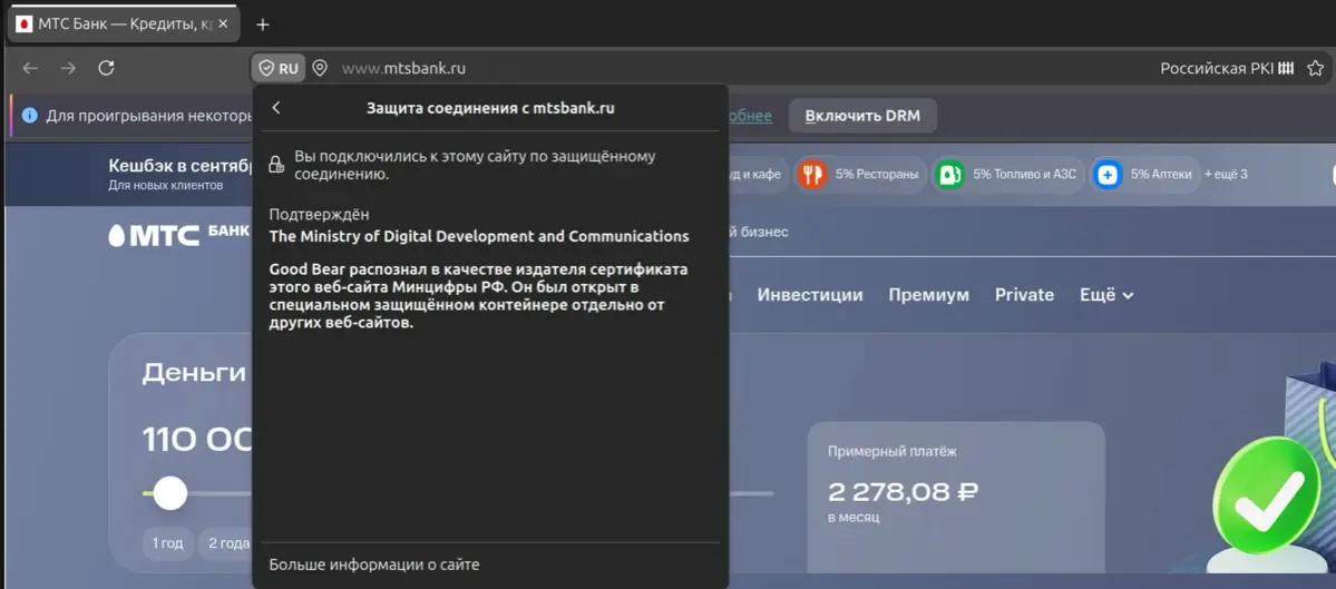 Good Bear | Сетка — социальная сеть от hh.ru
