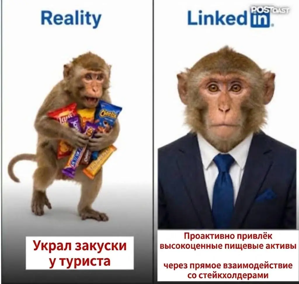 Вы гений, но об этом никто не знает. Как это исправить? | Сетка — социальная сеть от hh.ru