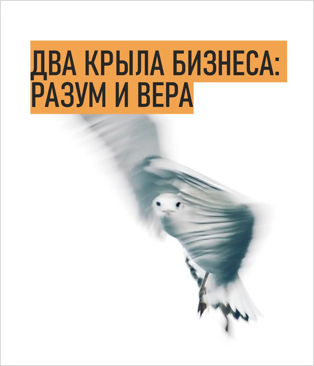 Два крыла бизнеса: разум и вера | Сетка — социальная сеть от hh.ru